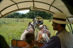 Tour of the Maremma by horse and wagon